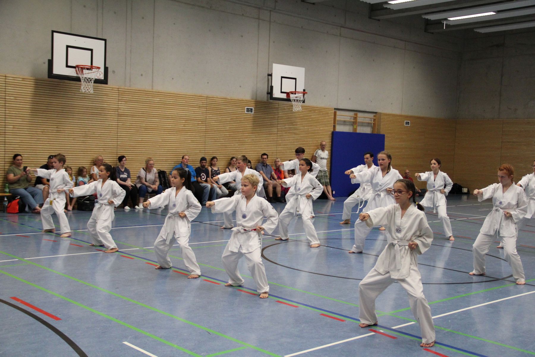 Neue KUP-Grade im Familientraining